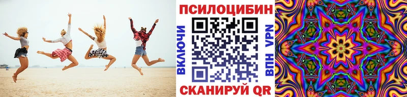 цена наркотик Чаплыгин Псилоцибиновые грибы MAGIC MUSHROOMS